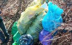 336530916_776330383548619_1800307594549282672_n