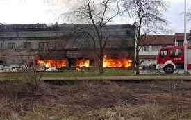 337546010_981636019489389_5454011838931119370_n