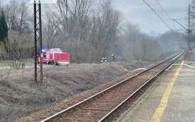 337545465_1206367913337010_425966437286028081_n