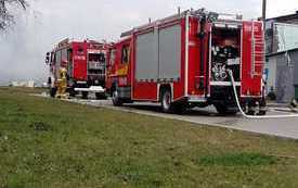 337540828_740287054559317_3513324257438600846_n