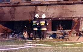 337517659_2047257892139474_3524921554933490748_n