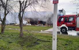 337283246_1261568084448272_8145461159390450447_n