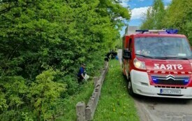 Bielany sprzątanie świata 13