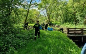 Bielany sprzątanie świata 19