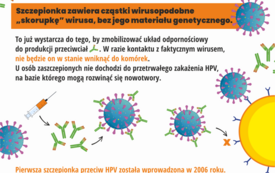 Powszechny program szczepień przeciw HPV: Infografiki 3