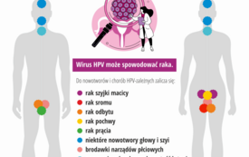 Powszechny program szczepień przeciw HPV: Infografiki 7