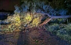 Wieczorna burza powaliła drzewa i postawiła na nogi wszystkie gminne jednostki OSP 1