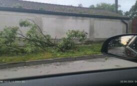 Wieczorna burza powaliła drzewa i postawiła na nogi wszystkie gminne jednostki OSP 5