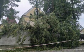 Wieczorna burza powaliła drzewa i postawiła na nogi wszystkie gminne jednostki OSP 6