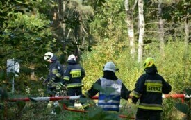 Jak przebiegły gminne ćwiczenia jednostek OSP? 17