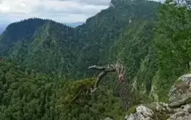 Wycieczka w Pieniny uczni&oacute;w klasy 4a i 6a 8