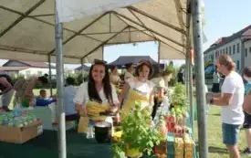 X Piknik Rodzinny w Bielanach 2025 22