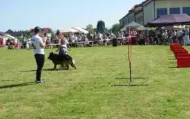 X Piknik Rodzinny w Bielanach 2025 38