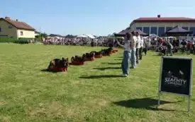X Piknik Rodzinny w Bielanach 2025 39