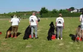 X Piknik Rodzinny w Bielanach 2025 41