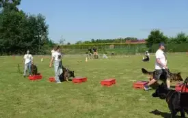 X Piknik Rodzinny w Bielanach 2025 42