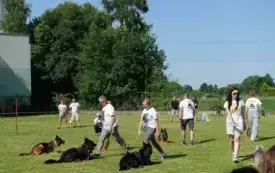 X Piknik Rodzinny w Bielanach 2025 44