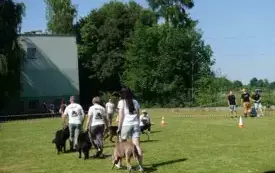 X Piknik Rodzinny w Bielanach 2025 45