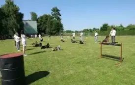 X Piknik Rodzinny w Bielanach 2025 46