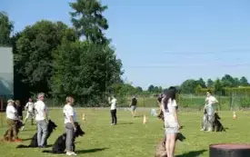 X Piknik Rodzinny w Bielanach 2025 48