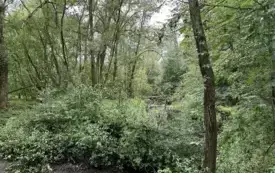 Ochotnicza Straż Pożarna w Bulowicach udrożniła Bul&oacute;wkę 3