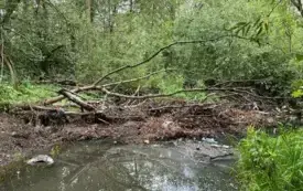 Ochotnicza Straż Pożarna w Bulowicach udrożniła Bul&oacute;wkę 5