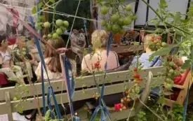 Naturalnie z KGW Bulowice &ndash; ekologiczne inspiracje dla społeczności 2