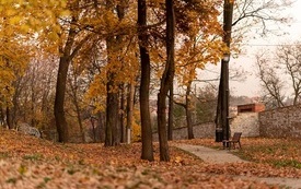 Park w Koscielcu