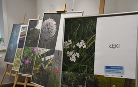 Jutro w Rynku 13 startuje wystawa &bdquo;Zielona Fotografia&rdquo;! 3
