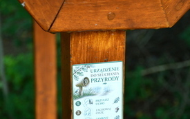 DSC_1890