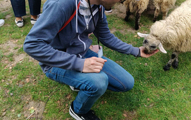 Młodzieżowa Drużyna Wolontariatu z Kęt w Mini Zoo w Inwałdzie 4