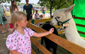 Rodzinny Piknik z CUS połączył mieszkańc&oacute;w Gminy Kęty 38