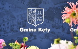Wystawa dalii: Rynek 13 przeżył kwiatowe zatrzęsienie! 50