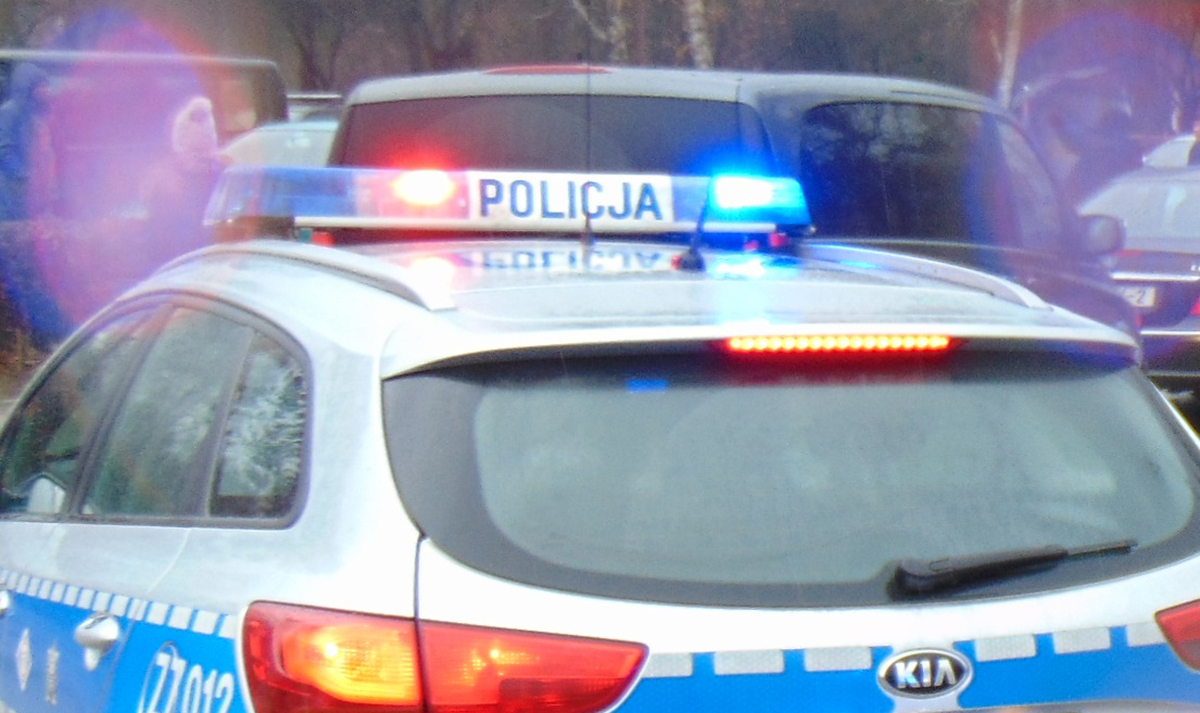 radiowóz policyjny na sygnale, tyłem do widza