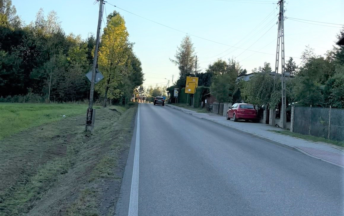 szeroka droga wskazująca miejsce wypadku z sarną