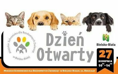 Zdjęcie do Dzień otwarty w Miejskim Schronisku dla Bezdomnych Zwierząt w Bielsku-Białej