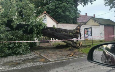 Zdjęcie do AKTUALIZACJA | Wieczorna burza powaliła drzewa i postawiła na nogi wszystkie gminne jednostki OSP