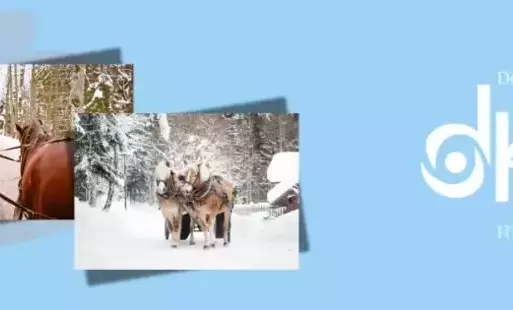 Zdjęcie do Kulig dla dzieci w Targanicach z DK Kęty