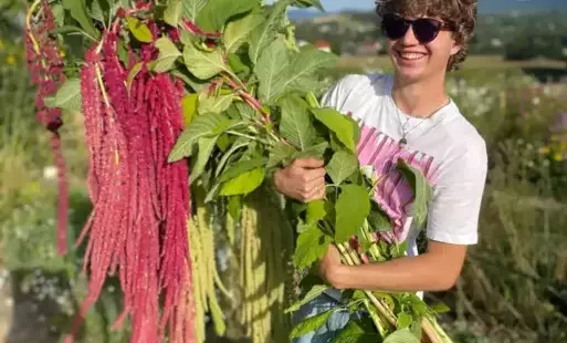 Zdjęcie do Szymon i jego Farma Motylowe Pole w programie Dzień Dobry TVN!