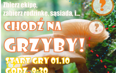 Zdjęcie do GRA TERENOWA &quot;CHODŹ NA GRZYBY&quot;