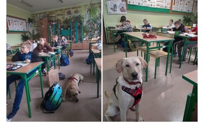 Zdjęcie do Pies w szkole - zagłosuj na projekt kęckiej Dw&oacute;jki!