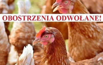 Zdjęcie do Obostrzenia związane z ptasią grypą odwołane