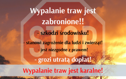 Zdjęcie do ARiMR przypomina: wypalanie traw jest karalne