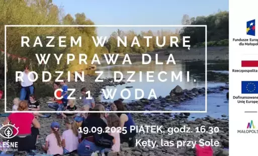 Grafika do Leśne Przebudzenie