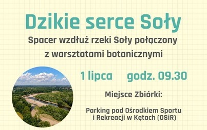 Zdjęcie do Dzikie serce Soły &ndash; zaproszenie na spacer i warsztaty botaniczne