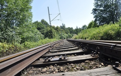 Zdjęcie do Informacja o planowanym oprysku odchwaszczającym tor&oacute;w kolejowych