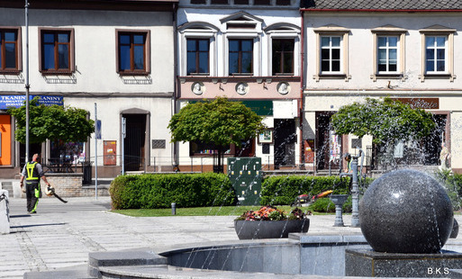 Zdjęcie do Wieczorny oprysk zieleni na Rynku oraz przy ul. Krakowskiej