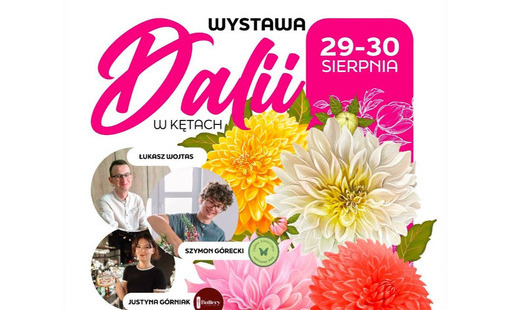 Zdjęcie do Wystawa Dalii w Miejscu Aktywności Mieszkańc&oacute;w Rynek 13