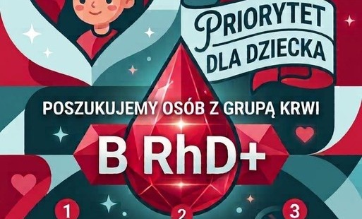 Zdjęcie do Jedno małe serce potrzebuje naszej pomocy &ndash; razem dla Noelki!